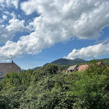Gite Neuf En Duplex Tout Confort Рибовілле Екстер'єр фото